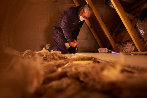 Best Insulation Installation Services in Daniels, WV